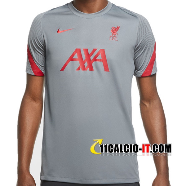 Nuove T Shirt Allenamento FC Liverpool Grigio 2020/21 | Tailandia